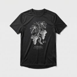 Camiseta Dry Fit Evangélica Videira Verdadeira — Coroa de Vida - preta