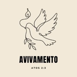 Camiseta evangélica Avivamento — Coroa de Vida - detalhe da estampa