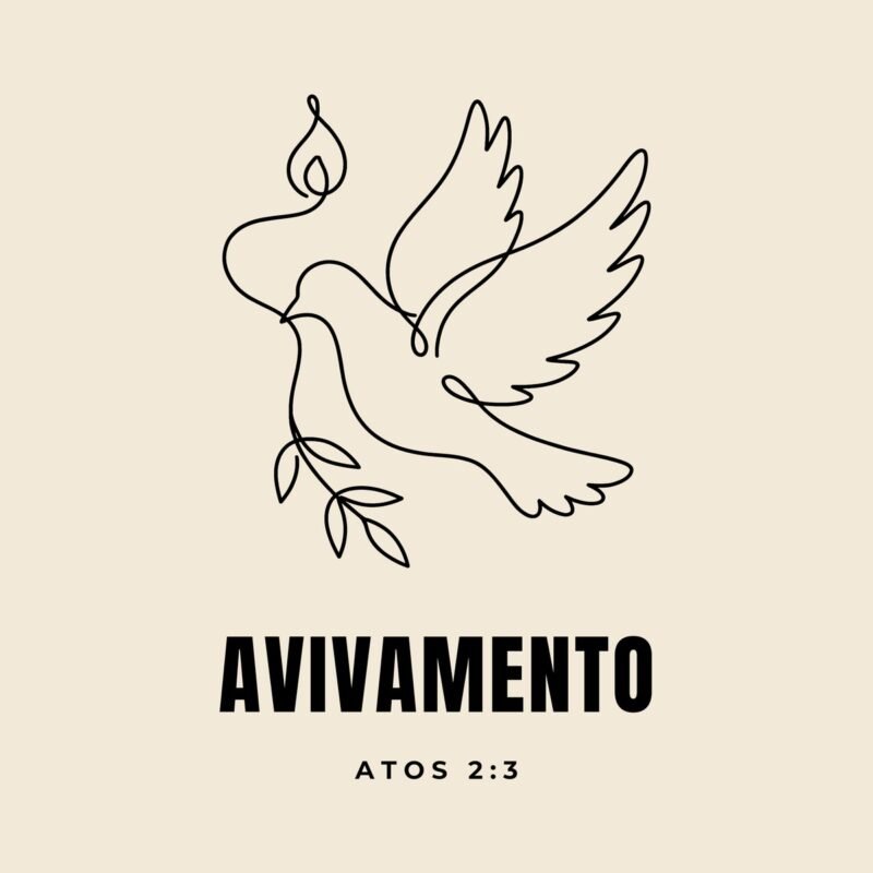 Camiseta evangélica Avivamento — Coroa de Vida - detalhe da estampa
