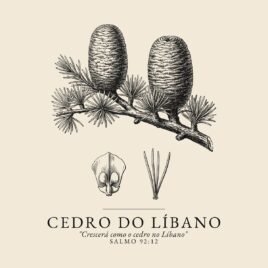 Camiseta evangélica Cedro do Líbano — Coroa de Vida - detalhe da estampa