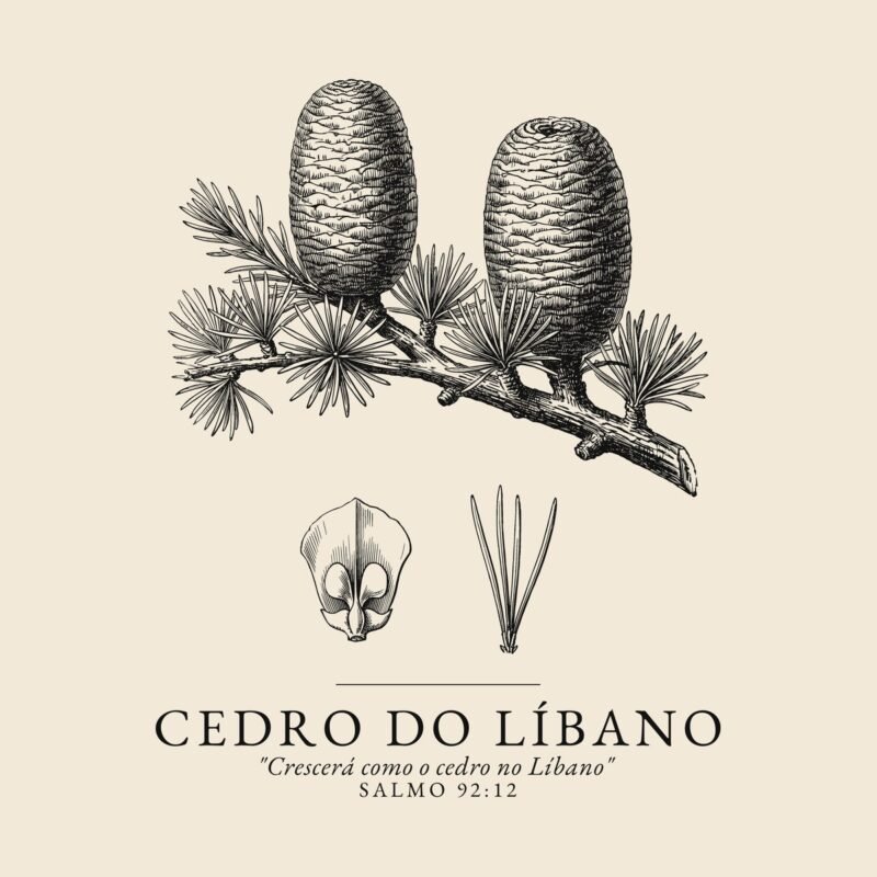 Camiseta evangélica Cedro do Líbano — Coroa de Vida - detalhe da estampa