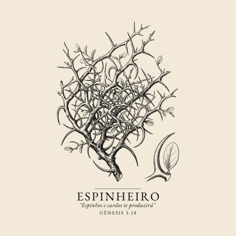 Camiseta evangélica Espinheiro — Coroa de Vida - detalhe da estampa