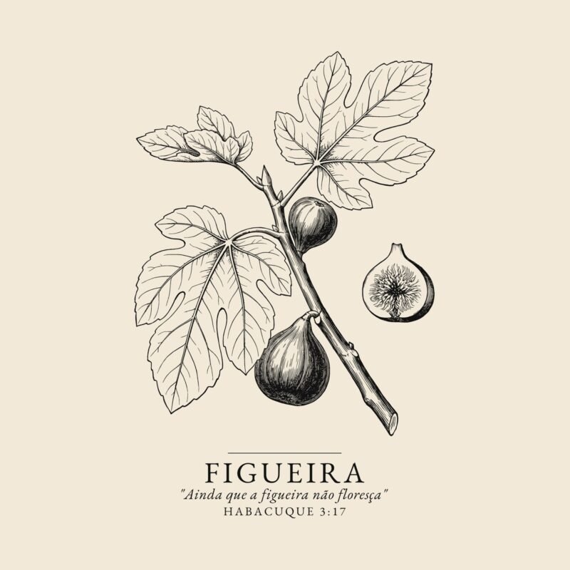 Camiseta evangélica Figueira — Coroa de Vida - detalhe da estampa