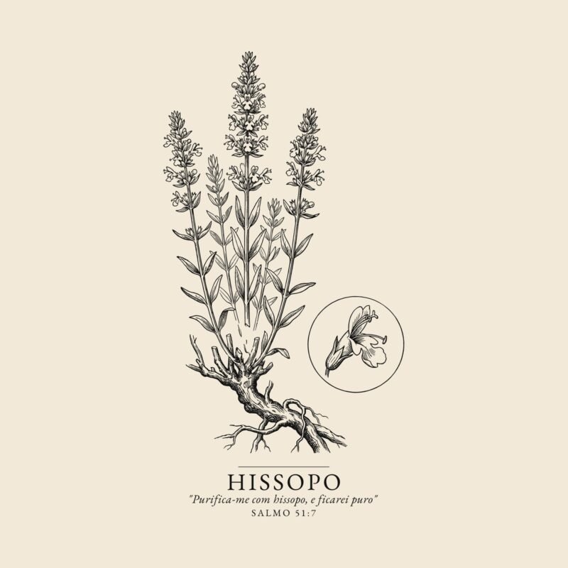 Camiseta evangélica Hissopo — Coroa de Vida - detalhe da estampa