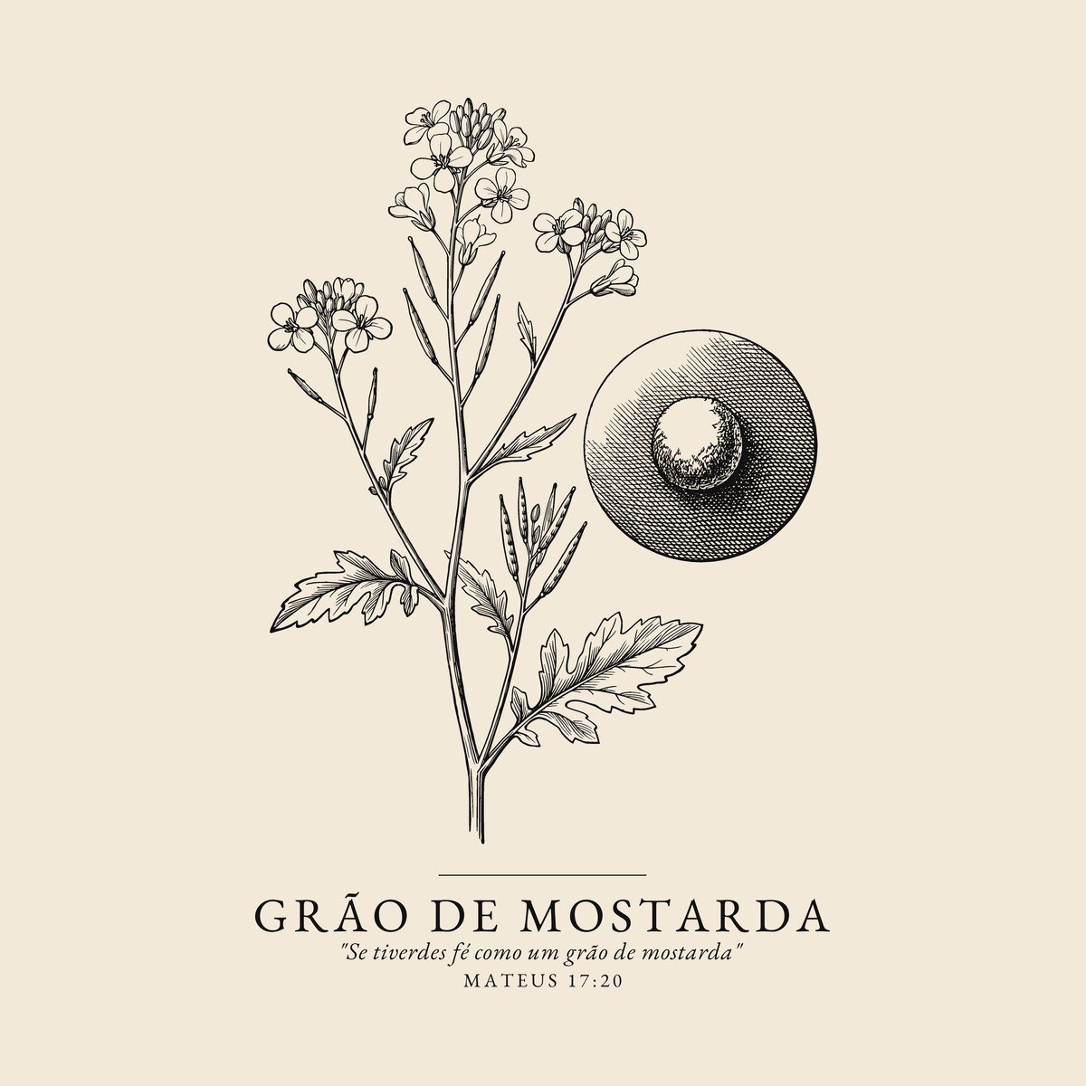 Camiseta evangélica Grão de Mostarda — Coroa de Vida - detalhe da estampa