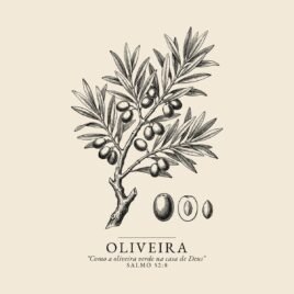 Camiseta evangélica Oliveira Verde — Coroa de Vida - detalhe da estampa