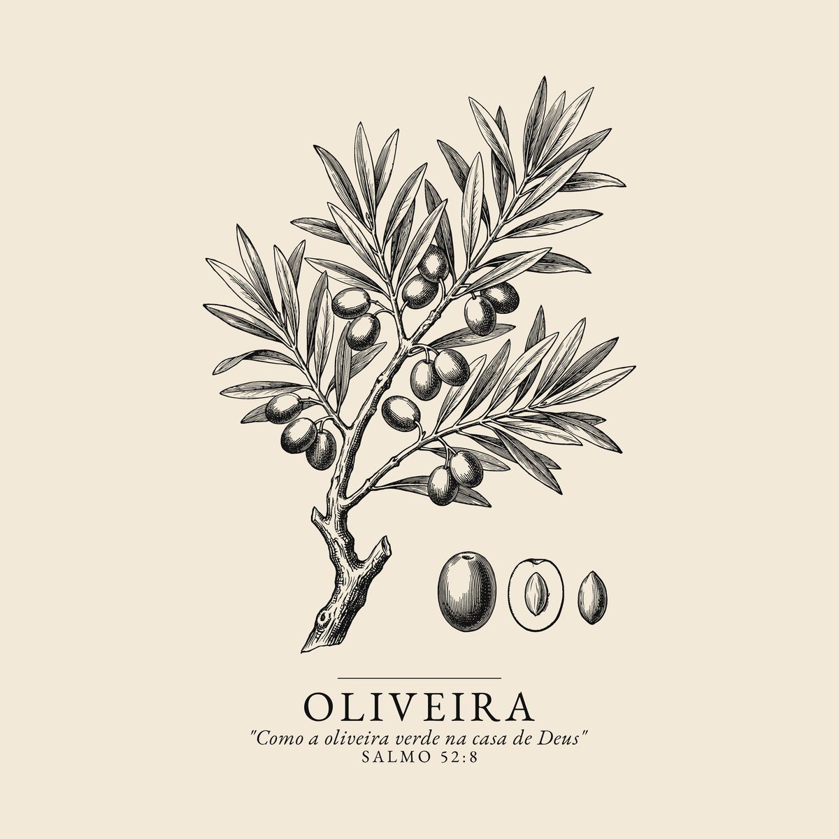 Camiseta evangélica Oliveira Verde — Coroa de Vida - detalhe da estampa