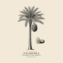 Camiseta evangélica Palmeira — Coroa de Vida - detalhe da estampa