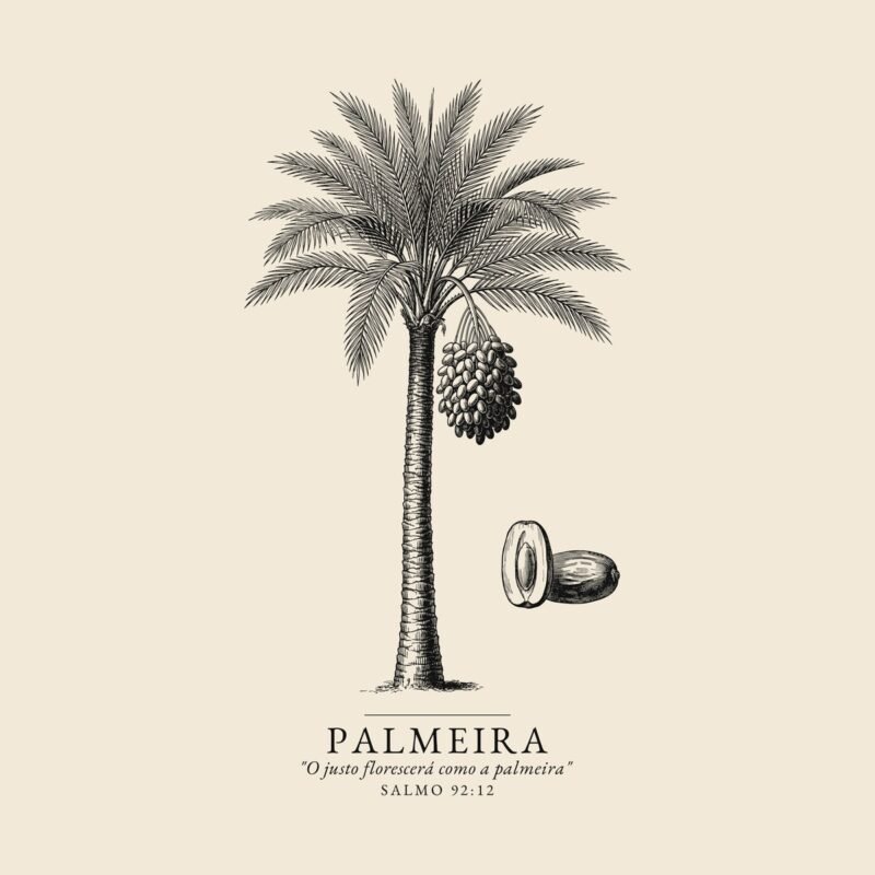 Camiseta evangélica Palmeira — Coroa de Vida - detalhe da estampa