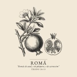 Camiseta evangélica Romã — Coroa de Vida - detalhe da estampa