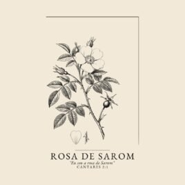 Camiseta evangélica Rosa de Sarom — Coroa de Vida - detalhe da estampa