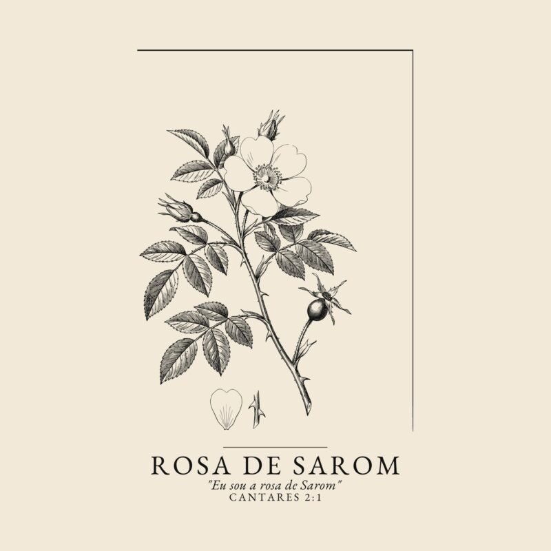 Camiseta evangélica Rosa de Sarom — Coroa de Vida - detalhe da estampa