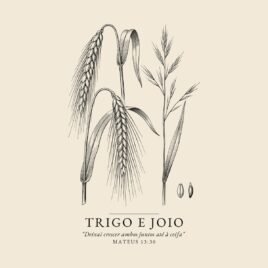 Camiseta evangélica Trigo e Joio — Coroa de Vida - detalhe da estampa