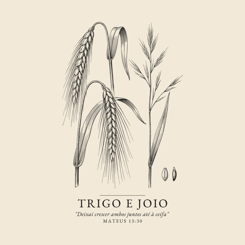 Camiseta evangélica Trigo e Joio — Coroa de Vida - detalhe da estampa