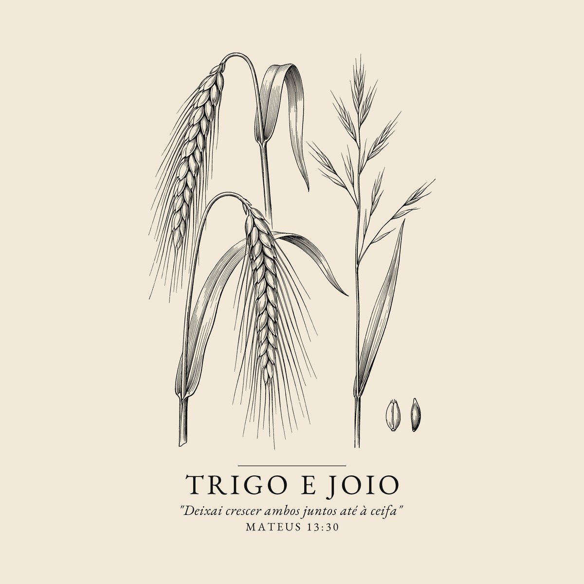 Camiseta evangélica Trigo e Joio — Coroa de Vida - detalhe da estampa