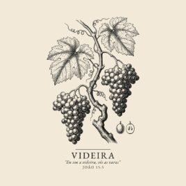Camiseta evangélica Videira Verdadeira — Coroa de Vida - detalhe da estampa