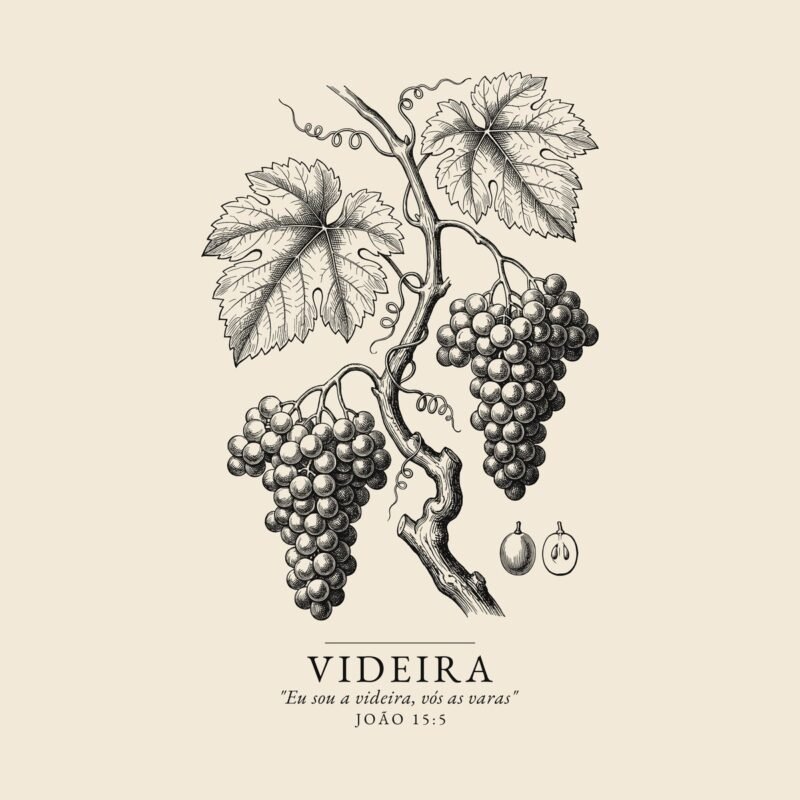Camiseta evangélica Videira Verdadeira — Coroa de Vida - detalhe da estampa